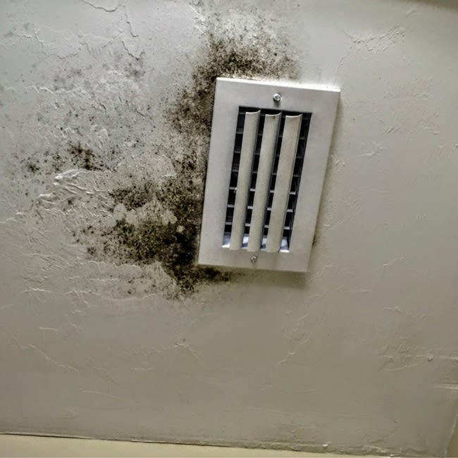 lennar mold issues with air conditioner construction problems neighbor ac mold