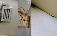 water damage mold remediation required lennar construction problems