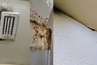 water damage mold remediation required lennar construction problems