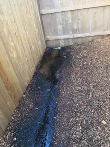 lennar reviews washington drainage issues 5