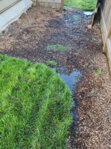 lennar reviews washington drainage issues 9